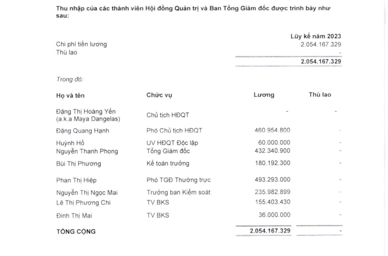 chu-tich-dang-thi-hoang-yen-nhan-luong-0-dong-tai-tan-tao-antt-2-1692094474.PNG