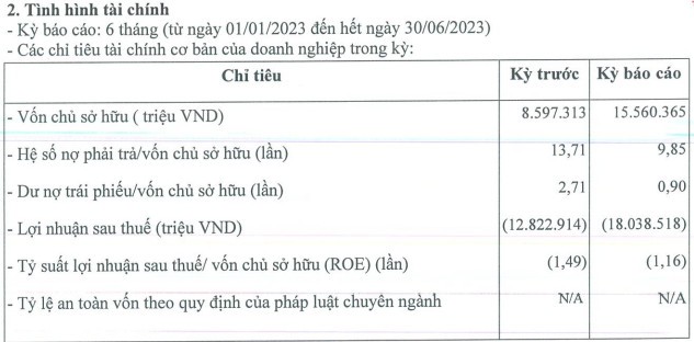 von-chu-so-huu-ban-nien-2023-cua-vinfast-tang-nhung-ty-suat-loi-nhuan-giam-antt-1-1693468506.jpg