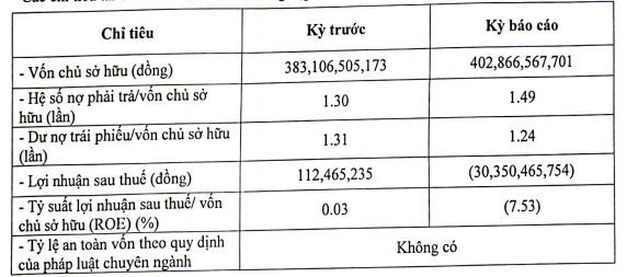 vua-no-lai-trai-phieu-cong-ty-nang-luong-cua-ong-chu-bitexco-lai-bao-lo-ban-nien-1694159566.PNG