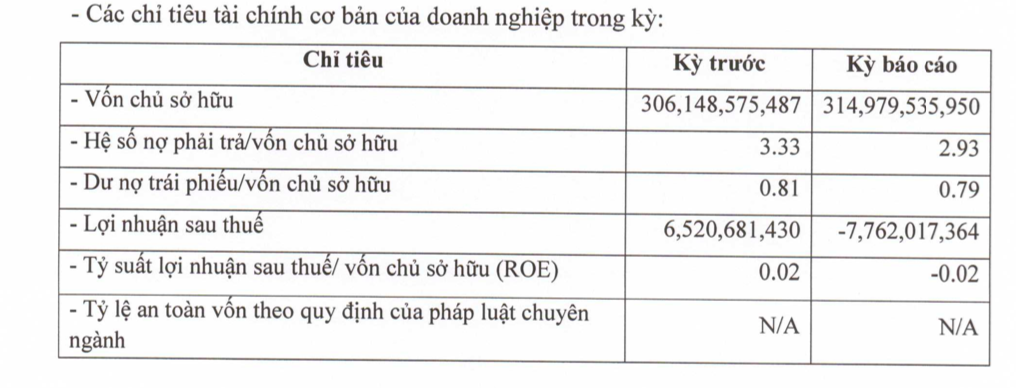 dau-tu-nang-luong-truong-thinh-bao-lo-gan-8-ty-dong-sau-6-thang-dau-nam-2023-antt-1695382832.png