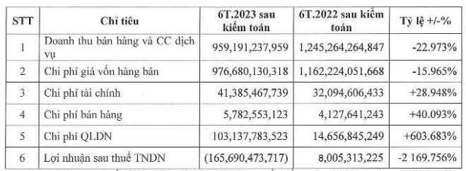 nhua-dong-a-lo-ban-nien-hon-160-ty-dong-no-phai-tra-gap-3-lan-von-chu-so-huu-1695804059.PNG