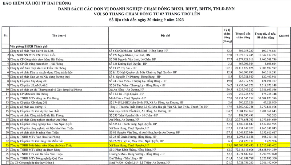 dong-tau-nam-trieu-dan-dau-danh-sach-doanh-nghiep-no-thue-tai-hai-phong-1697276123.PNG