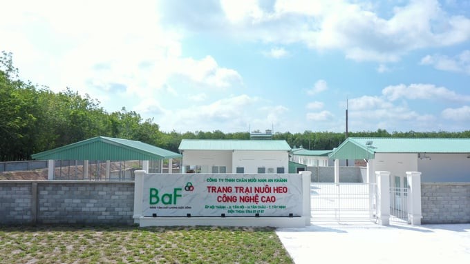 loat-lanh-dao-xin-tu-nhiem-baf-viet-nam-se-kien-toan-hdqt-va-ban-kiem-soat-1697432016.jpg