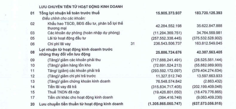 ttc-land-loi-nhuan-9-thang-dau-nam-2023-lao-doc-dong-tien-am-ky-luc-antt01-1698745059.PNG