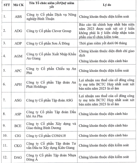 mot-co-phieu-bat-dong-san-khu-cong-nghiep-san-hose-duoc-cap-margin-tro-lai-2-1708423671.png