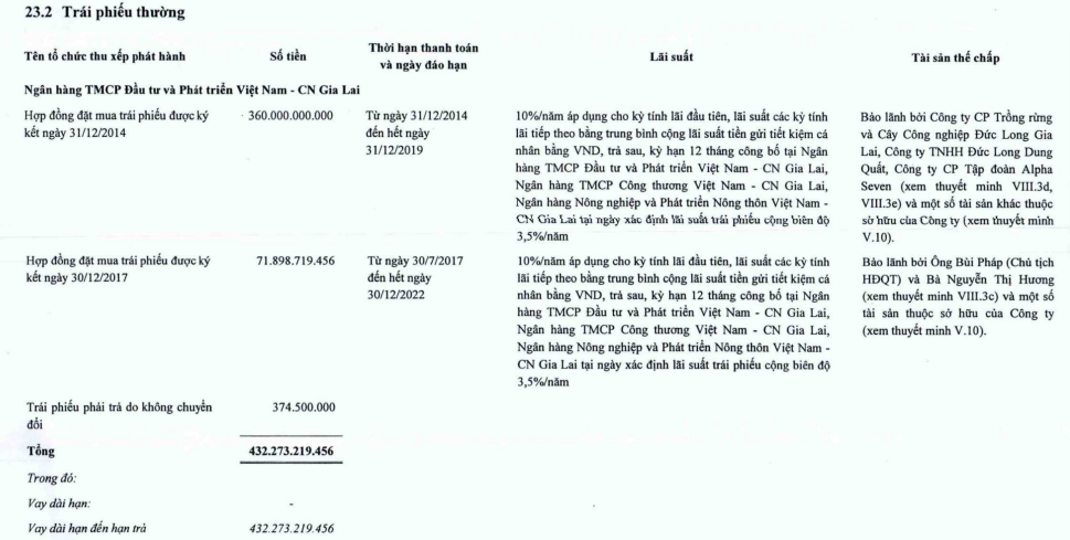 thua-lo-2-nam-lien-tiep-duc-long-gia-lai-chua-the-tat-toan-lo-trai-phieu-qua-han-3-1712220212.PNG