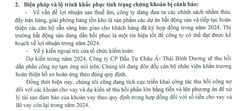 api-dat-muc-tieu-lai-rong-nam-2024-dat-38-ty-dong-khi-vua-bao-lo-quy-thu-tu-lien-tiep-2-1715333368.PNG