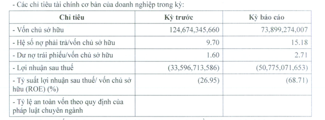 duong-man-cua-dai-gia-duong-bia-bao-lo-nam-thu-tu-lien-tiep-khong-the-thanh-toan-goc-lai-trai-phieu-2-1715763145.png