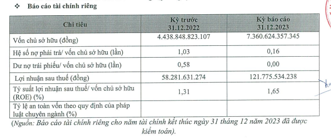 duoc-chap-thuan-tro-thanh-cong-ty-dai-chung-bcg-energy-kinh-doanh-ra-sao-1716261450.PNG