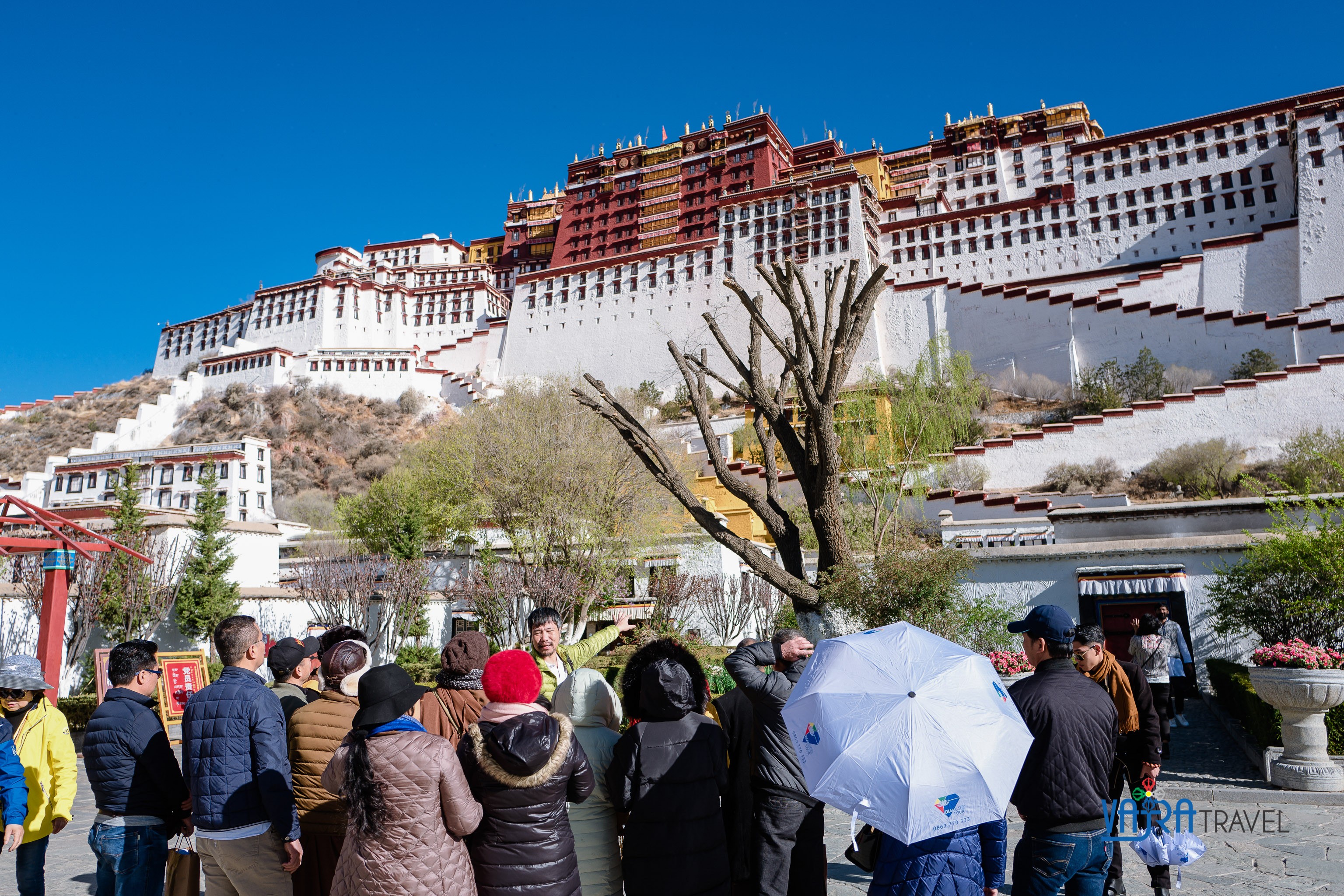 chia-se-van-hoa-tay-tang-cau-chuyen-cung-dien-cao-nhat-the-gioi-tai-vuong-quoc-tho-phon-potala-1720346004.jpg