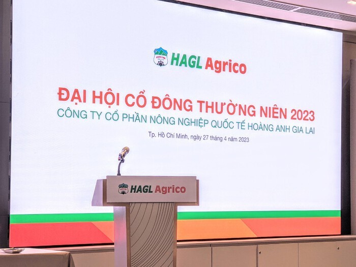 hagl-agrico-lo-rong-12-7-ty-dong-trong-quy-i-muc-tieu-nam-thu-3-lien-tiep-lo-nghin-ty-1682740373.jpg