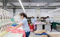 FPTS tiếp tục đăng ký bán hơn 500.000 cổ phiếu MSH
