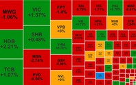 Chứng khoán ngày 13/10: Thanh khoản thấp, VN-Index giảm nhẹ