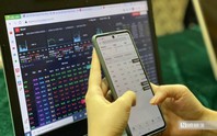 Cổ phiếu VPG bị chuyển sang diện hạn chế giao dịch