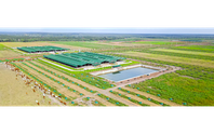 Vì sao Thaco Agri bị xử phạt?