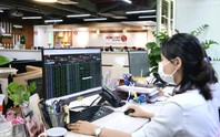 Chứng khoán Rồng Việt chốt ngày chia cổ tức, phát hành 640 tỷ đồng trái phiếu