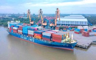 Xếp dỡ Hải An lãi ròng gần 366 tỷ đồng trong quý III/2026, biên lợi nhuận gộp thu hẹp