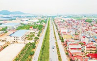 Bắc Ninh đấu giá hơn 3.300m2 đất làm Khu nhà ở Tổ dân phố Giang Liễu
