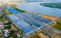 MCD Việt Nam và IMG Phước Đông nhận án phạt vì không công bố thông tin