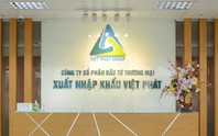 Cổ phiếu VPG của Xuất nhập khẩu Việt Phát vào diện kiểm soát