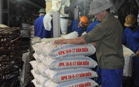Phân lân Văn Điển bổ nhiệm một Phó Tổng Giám đốc