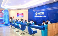 NCB sắp chào bán 1 tỷ cổ phiếu riêng lẻ, dự kiến thu về 10.000 tỷ đồng