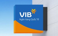 Nhiều sai phạm trong hoạt động cho vay của VIB Huế