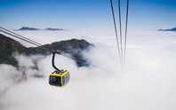 Cáp treo Fansipan Sa Pa báo lãi gần 29 tỷ đồng trong năm 2025