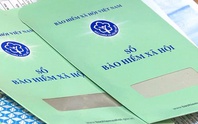 Hơn 26.600 đơn vị đơn vị tại TP.HCM chậm đóng bảo hiểm từ 3 tháng trở lên