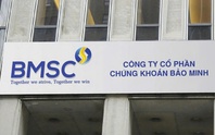 Chứng khoán Bảo Minh, Rạng Đông Holding bị xử phạt do vi phạm trong lĩnh vực chứng khoán