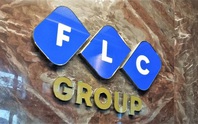 FLC lập công ty hàng không vốn nghìn tỷ đồng, liên tục đổi tên