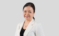REE thay Tổng giám đốc, bà Nguyễn Thị Mai Thanh rời ghế Chủ tịch từ ngày 10/7