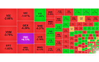 Chứng khoán ngày 22/5: VN-Index giảm gần 20 điểm