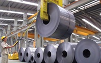 Người liên quan của Tổng giám đốc Thép Tiến Lên bị phạt vì bán 'chui' cổ phiếu TLH