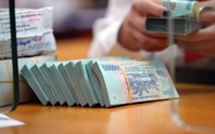 Có thể yêu cầu phá sản với doanh nghiệp nợ thuế không hoạt động tại địa chỉ đăng ký quá 3 năm