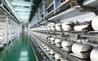Cổ đông của Sợi Thế Kỷ sắp nhận cổ tức bằng cổ phiếu tỷ lệ 10%