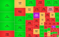 Chứng khoán ngày 29/5: Nhóm dầu khí hồi phục mạnh, VN-Index giảm nhẹ