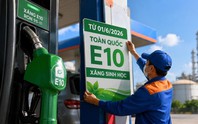 Loạt hãng xe lên tiếng về độ tương thích với xăng E10