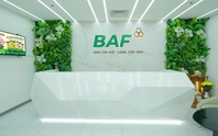 Baf Việt Nam thâu tóm thêm doanh nghiệp chăn nuôi tại Quảng Trị