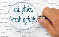 Điều kiện để doanh nghiệp được thay đổi điều khoản, mục đích phát hành trái phiếu