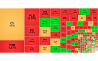 Chứng khoán ngày 11/6: VN-Index lại rời khỏi mốc 1.800 điểm