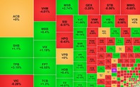 Chứng khoán ngày 12/6: VN-Index giảm xuống vùng 1.790 điểm