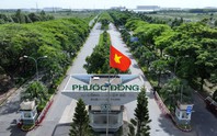 Chủ tịch Đầu tư Sài Gòn VRG 'sang tay' 3,7 triệu cổ phiếu SIP cho con