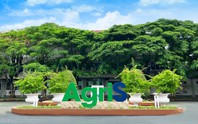 Chủ tịch AgriS Đặng Huỳnh Ức My gom thêm cổ phiếu SBT