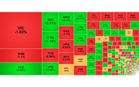 Chứng khoán ngày 17/6: VN-Index giảm nhẹ