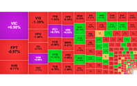 Chứng khoán ngày 18/6: VN-Index vươn lên 1.830 điểm
