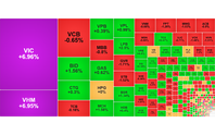 Chứng khoán ngày 22/6: VN-Index bật tăng 33 điểm