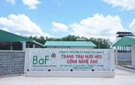 Baf Việt Nam chốt quyền nhận cổ phiếu thưởng và cổ tức tổng tỷ lệ 20%