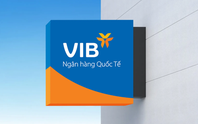 VIB bổ nhiệm Phó Tổng Giám đốc