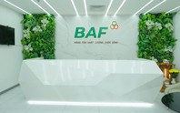 Baf Việt Nam sắp chào bán hơn 40 triệu cổ phiếu